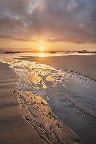 Stream flowing into the Pacific Ocean at sunset-Kalaloch Beach Olympic National Park Coastal Print